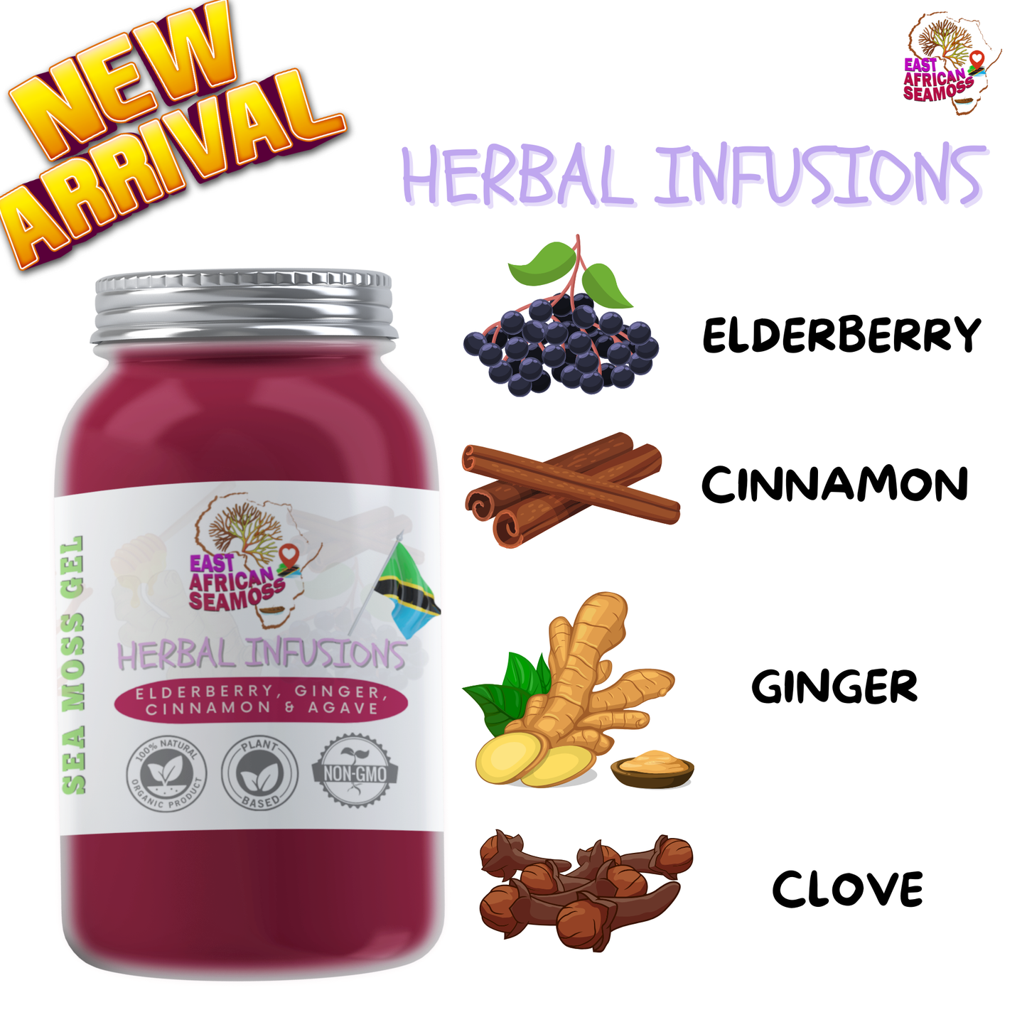 Variety Pack (2 Cinna-Moss + 2 Elderberry/Ginger)