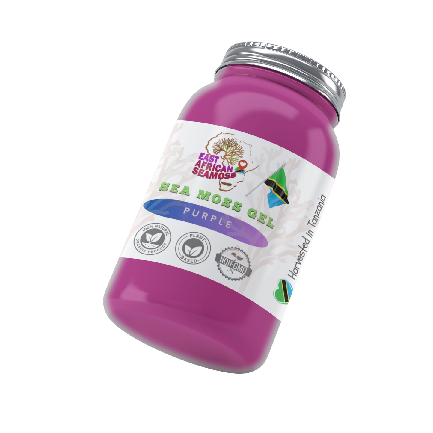 VARIETY PACK (Rainbow, Purple, Cinna-Moss & Elderberry/Ginger)