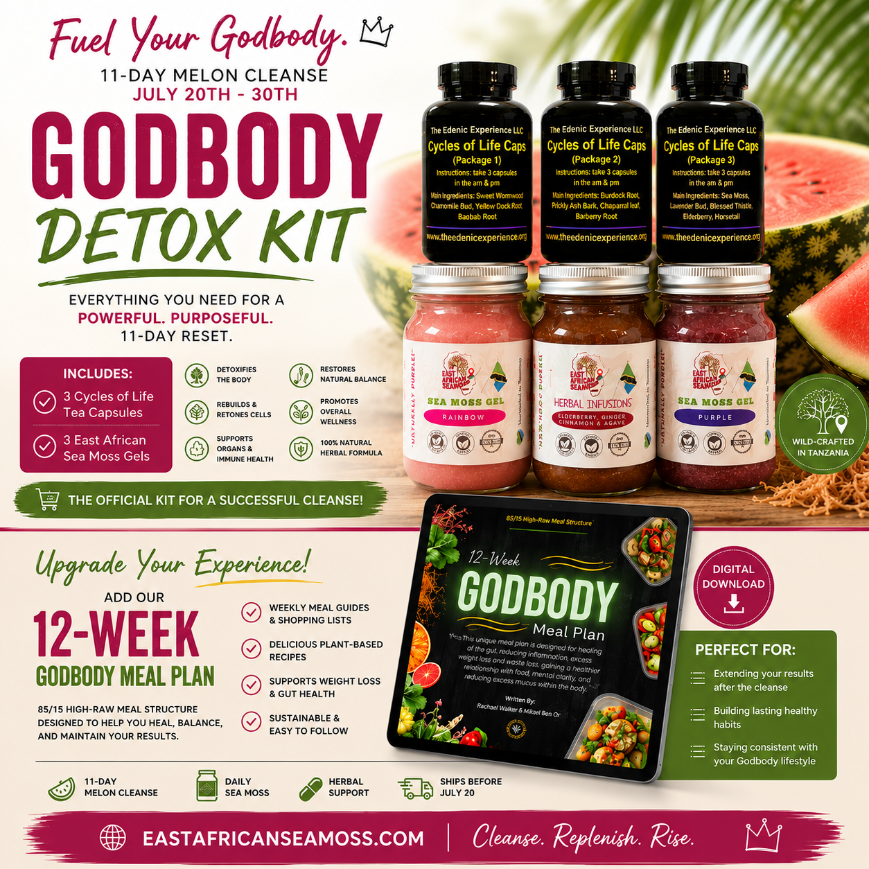 Godbody Detox Kit (Advanced)