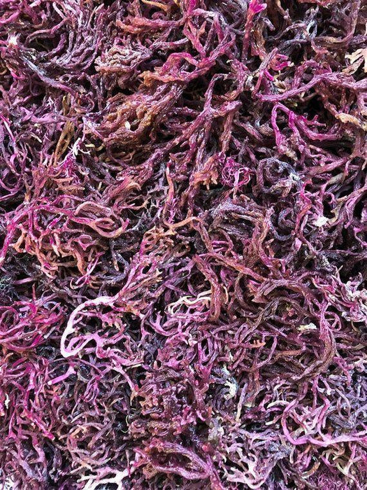 RAW Rainbow/Purple Sea Moss (4 oz.)