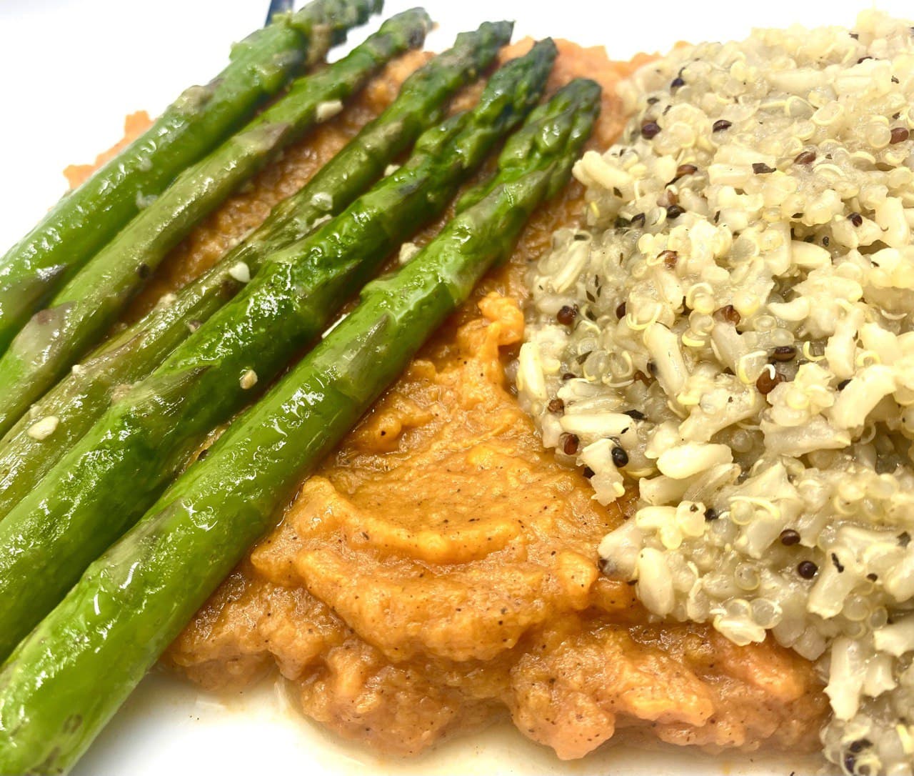 (E-Book + Hard Copy Bundle) Oh, So You Wanna Be A Vegan? {12-Week Meal Plan & Transition Guide}